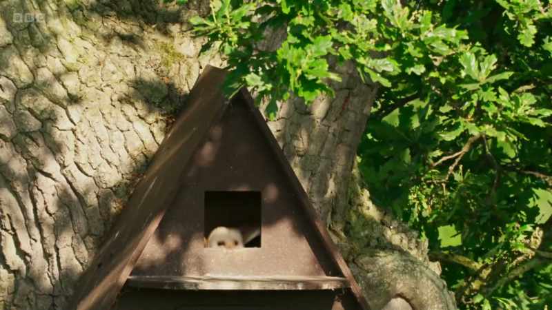 They know that thriving wildlife also helps the farm