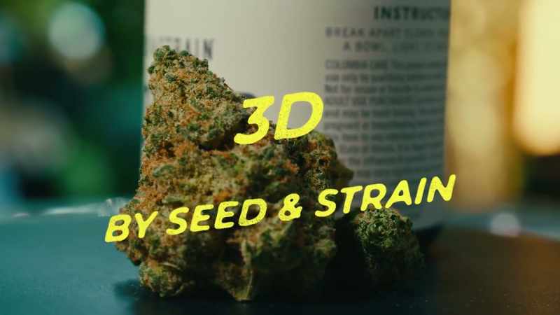 They laced us up with some of their 3d