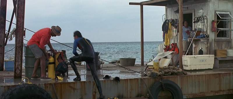 They leak A blind man could find more conch