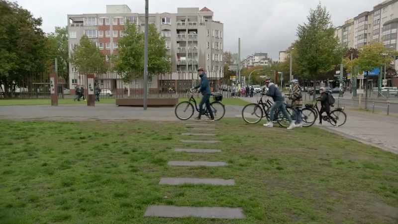 They look like a path, and if you follow them