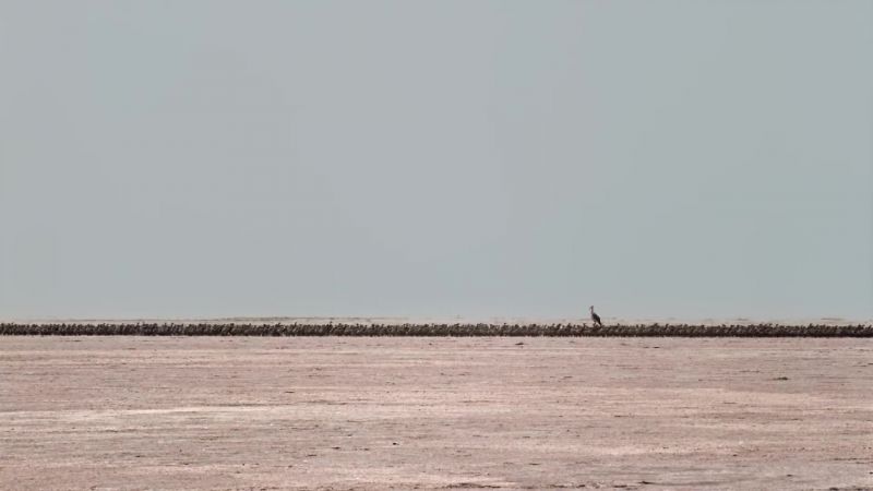 They may have to trek for 50 kilometers
