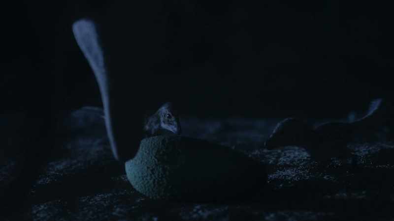 They need to learn that this strange new object is food