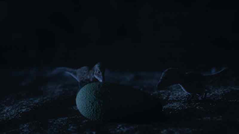 They need to learn that this strange new object is food