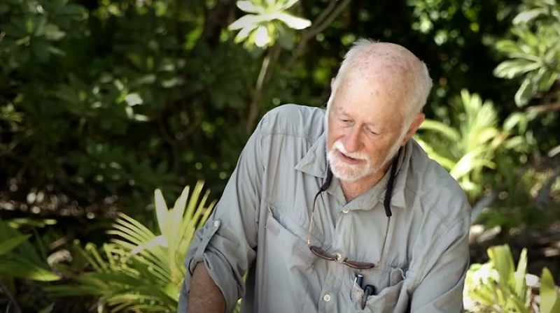 They not only find bones, but they find decomposition