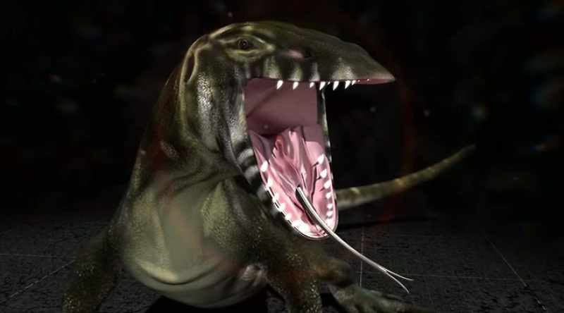 They possess razor-sharp teeth
