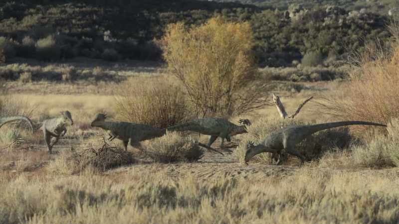They prefer to feed on fruit and leaves