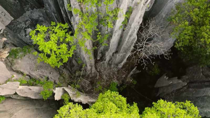 They reach a sanctuary hidden between the rocks