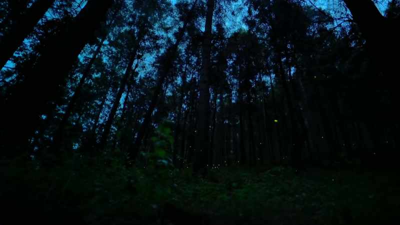 They reach supernatural synchronicity