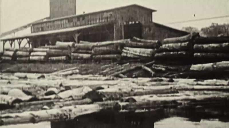 They had run out of trees to cut