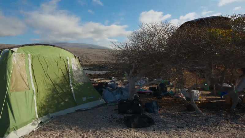 They set up camp in this barren cove