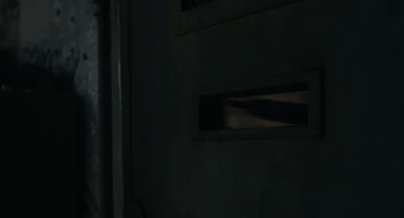 They shot at my fucking lizard!