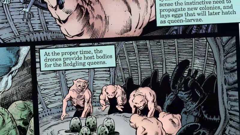 They were small versions, three, four-foot tall aliens