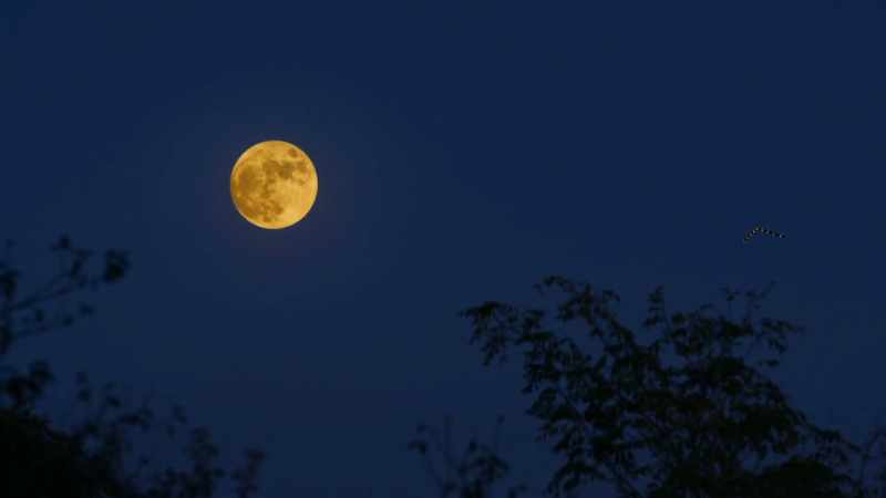 They were smaller than the full moon at the horizon