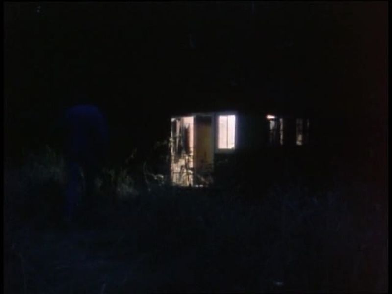 They subsequently took him to a cabin