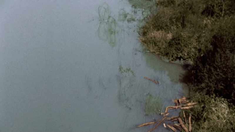 THEY TAKE HIM TO A RIVERBANK
