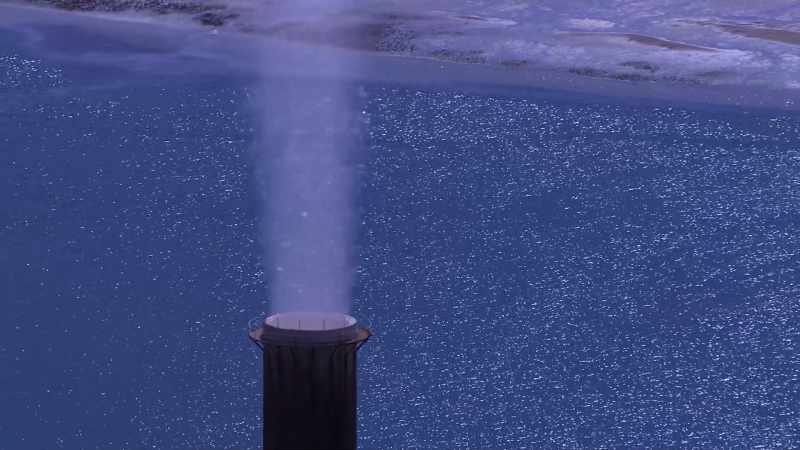 THEY TAKE UP ABOUT A THIRD OF THE CO2 THAT WE
