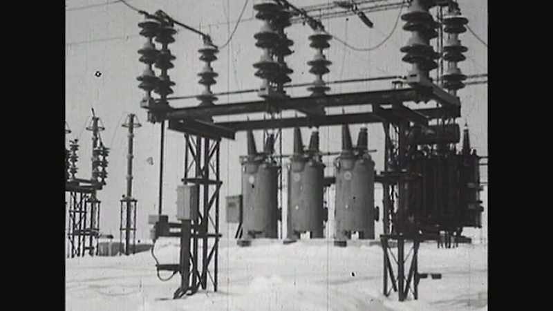 They targeted the Kaiser Wilhelm Institute