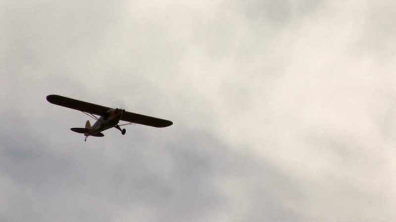 They thought that something the plane's pilot did