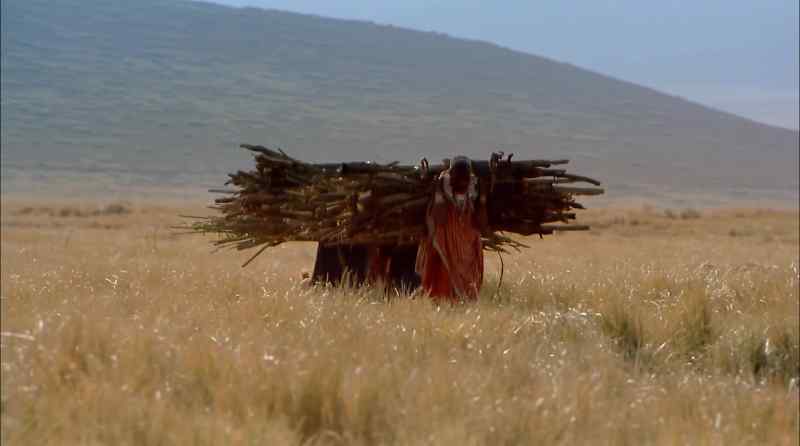 They. Too, follow a nomadic existence