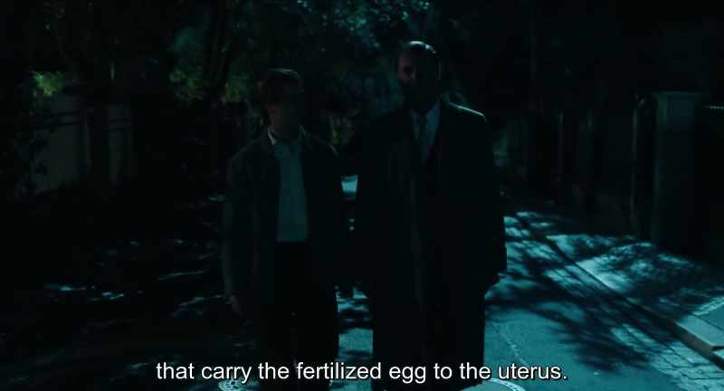 They transport the fertilized egg to the uterus
