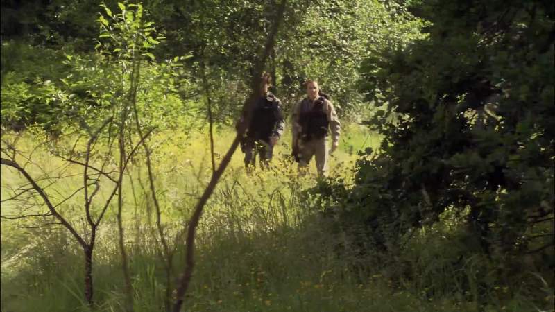 They were very clear which route to take