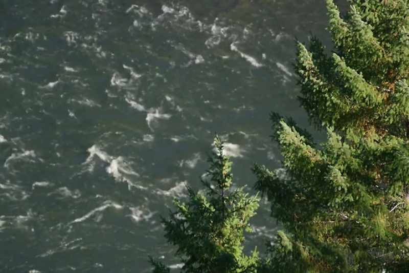 They want it to be what it was before the dams