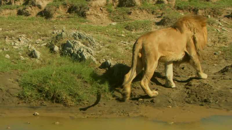 They want to take these rich hunting lands for themselves