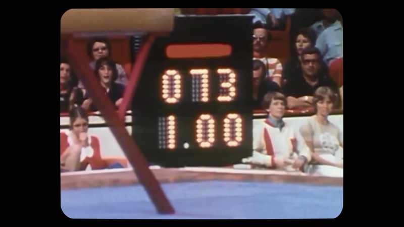 They were Nicolae Ceausescu's chosen coaches