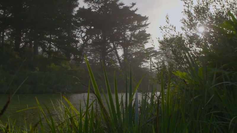 They'd seen how central park had transformed new york