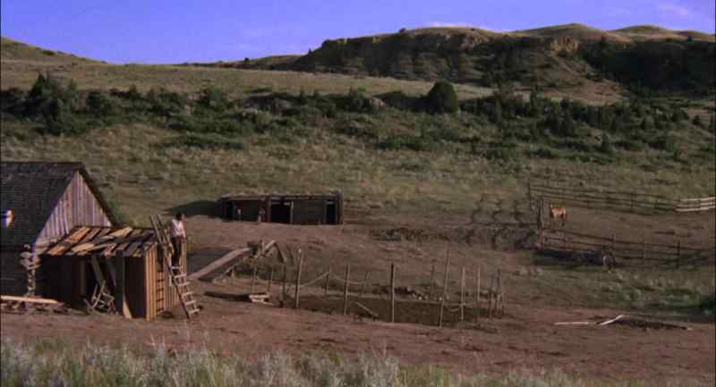 They'll be back, Buck. Don't you worry about it