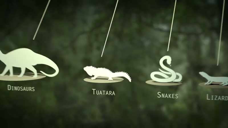 They're a sister group to the dinosaurs