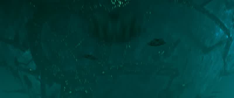 Ohh They're chasing usOh really You think