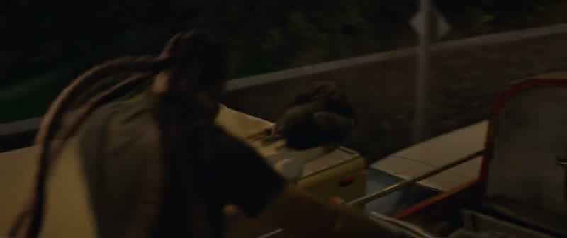 They're coming to kill you