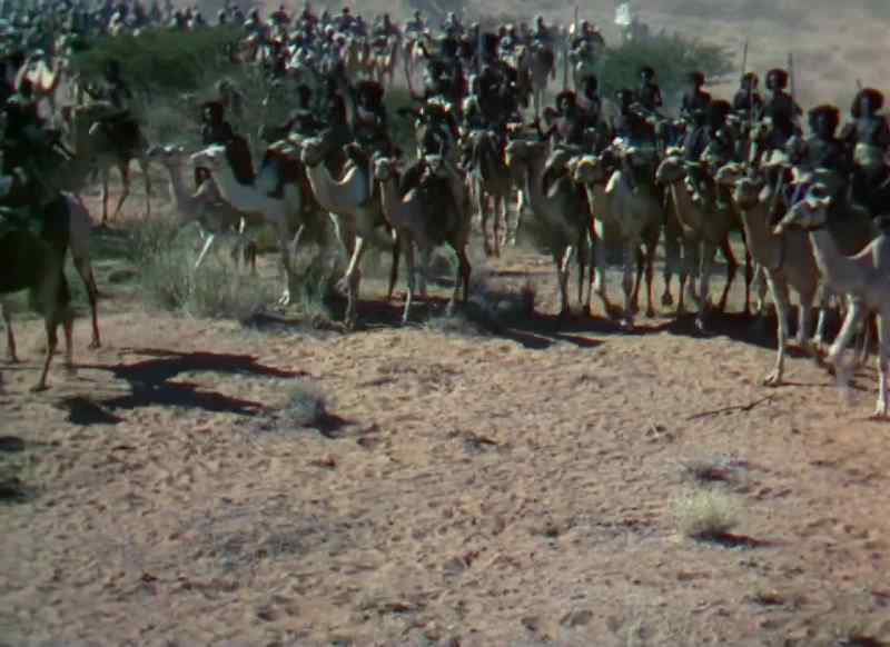 They're deploying to attack, sir. It's their whole army