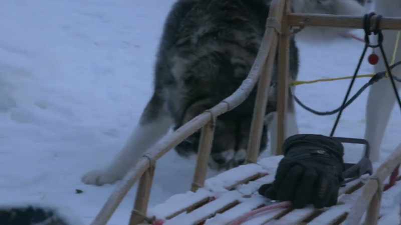 They're designed to destroy sleds