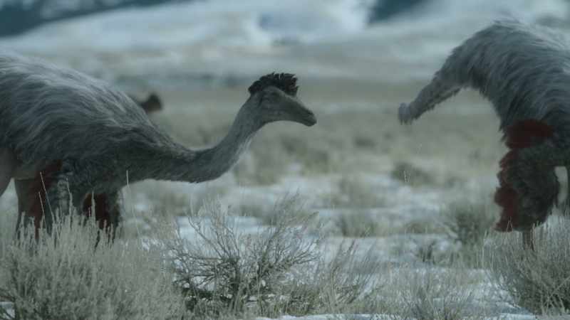 They're so fast that they're very difficult for predators to catch