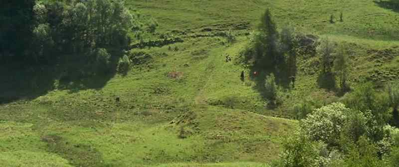 They're from Culloden, taken to the hills