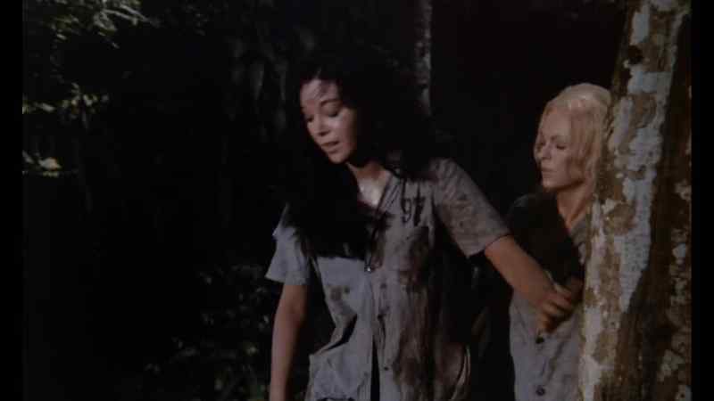 They're going deep into the jungle