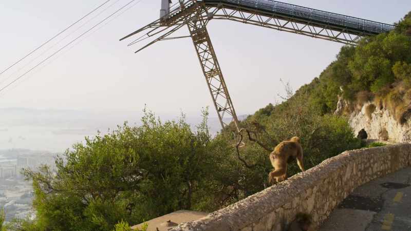 They're headed towards a cable car tower