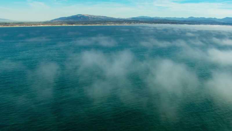 They're heading for Monterey Bay, California