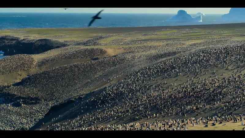 They're here because the surrounding waters provide