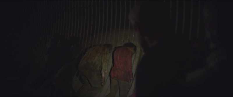They're hibernating - They need the dark