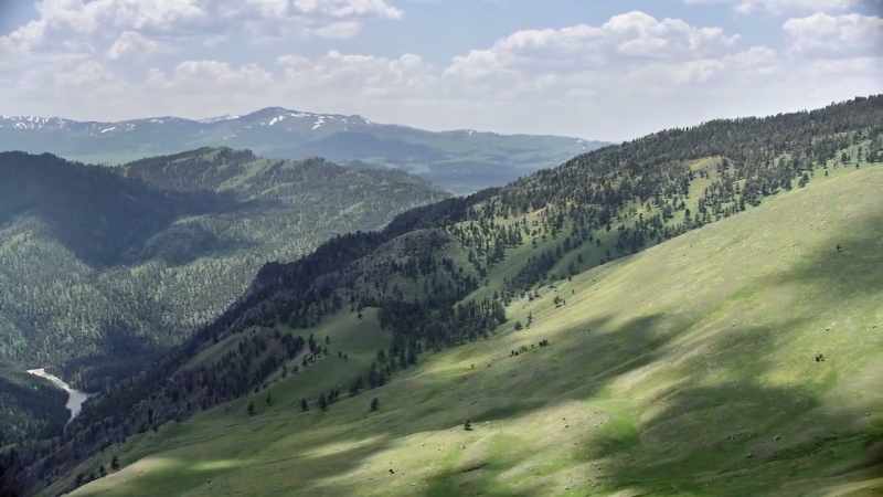 They're not the only spring travelers driven by hunger