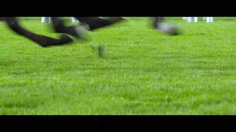 They're off, Qipco 2000 Guineas, they get under way
