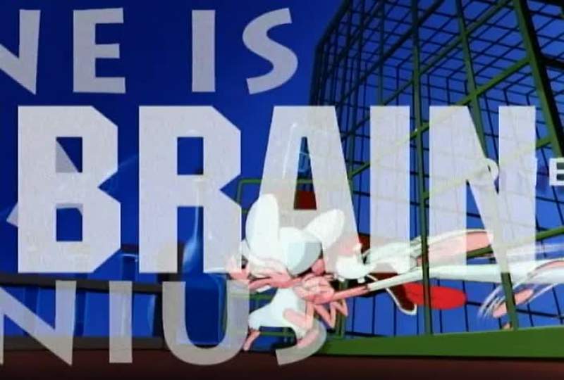 THEY'RE PINKY AND THE BRAIN