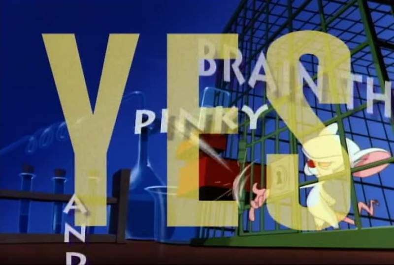 THEY'RE PINKY AND THE BRAIN