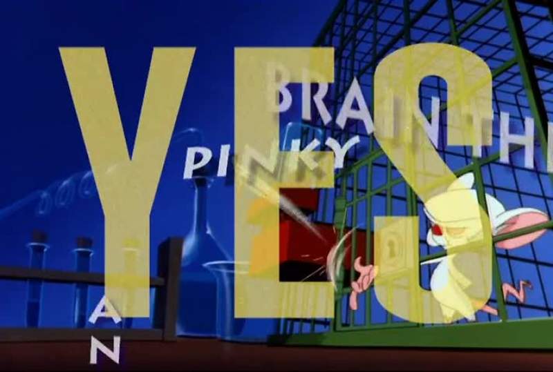 THEY'RE PINKY AND THE BRAIN