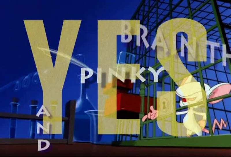 THEY'RE PINKY AND THE BRAIN