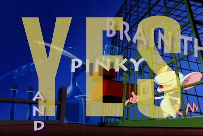 THEY'RE PINKY AND THE BRAIN