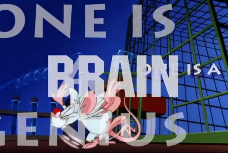 THEY'RE PINKY AND THE BRAIN